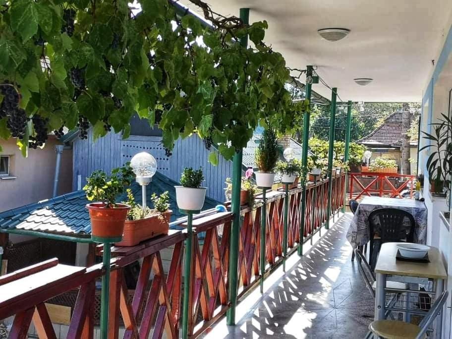 Casa Vinco Vici Otel Turda Dış mekan fotoğraf